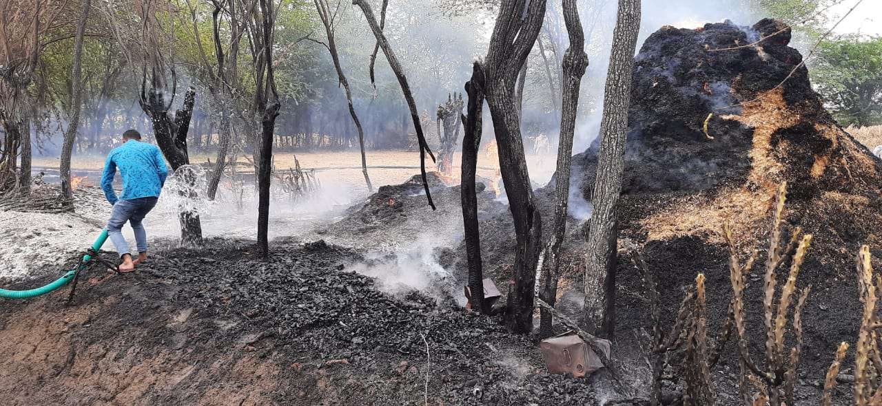 बच्छखेड़ा में बाड़े में लगी आग, ₹100000 का चारा व कड़प जलकर राख