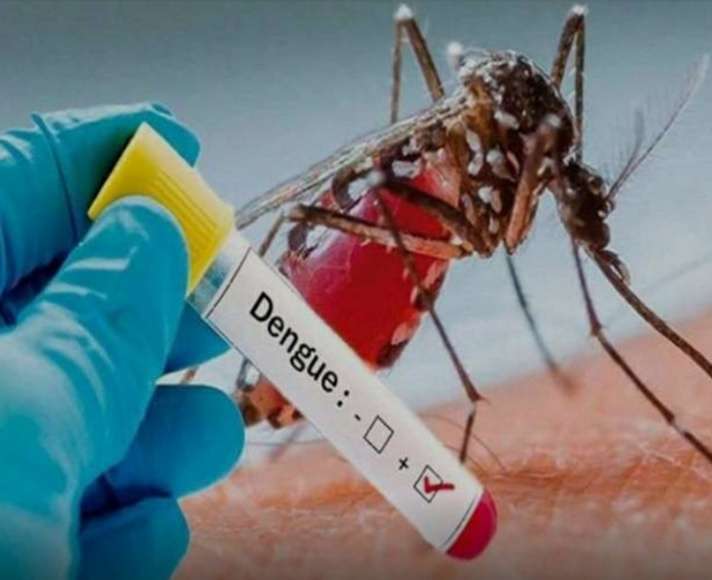 बढ़ रहे डेंगू और मौसमी बीमारियों के मामले, चिकित्सा मंत्री ने भीलवाड़ा सहित प्रदेश में घर-घर सर्वे करने के दिए निर्देश